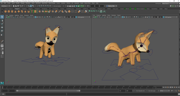 Fox Rig